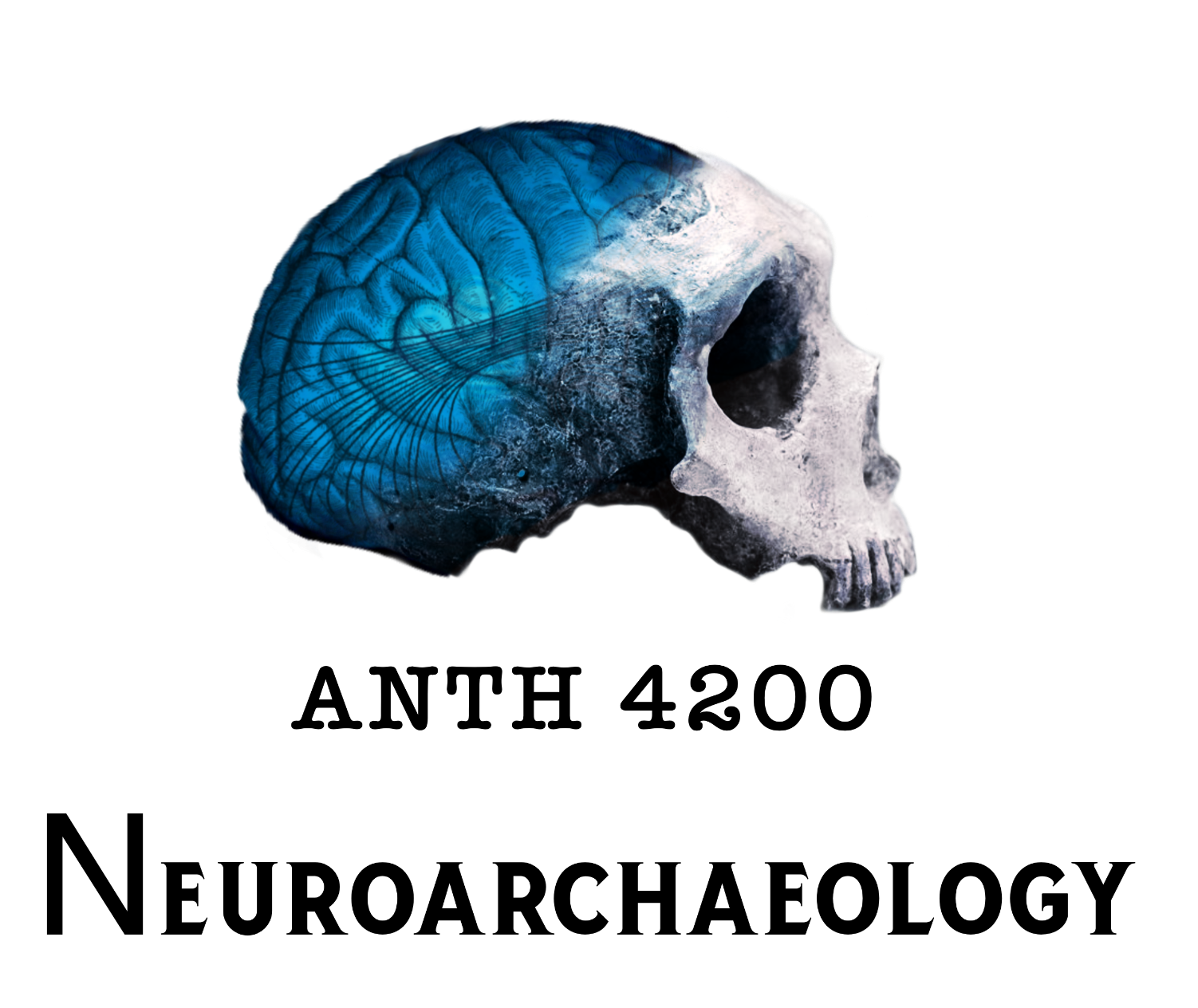 Neuroarchaeology