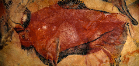 image of a prehistoric drawing of a bison inside a cave